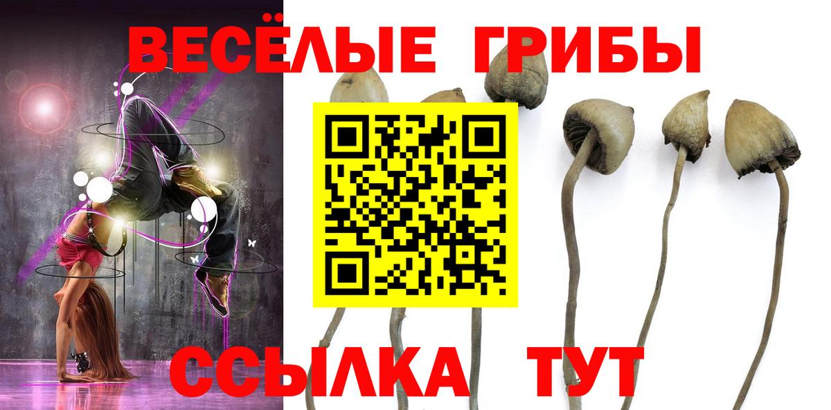 Псилоцибиновые грибы мицелий Печора