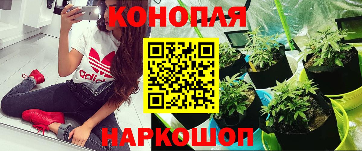 Печора  Шишки марихуана AK-47  Марихуана Amnesia  Вход с VPN 